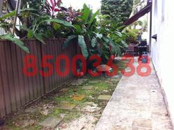 Springleaf Garden (D26), Semi-Detached #80579862